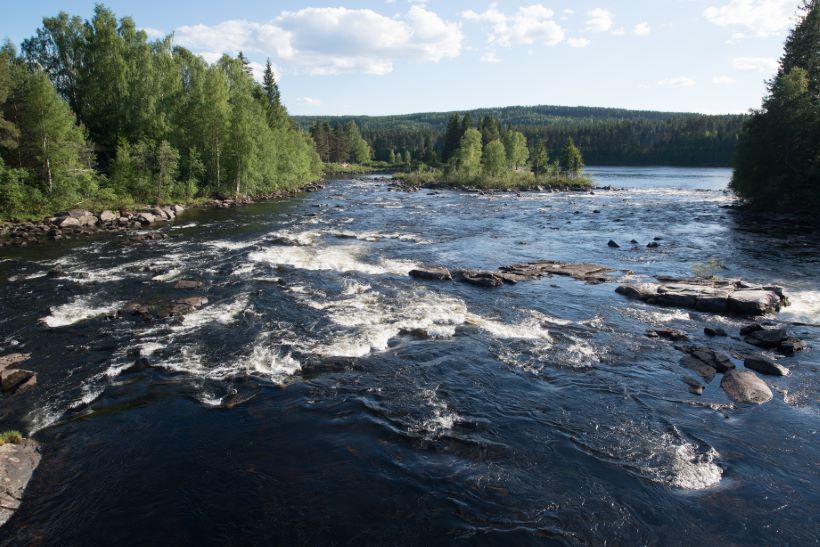 snekker Elverum